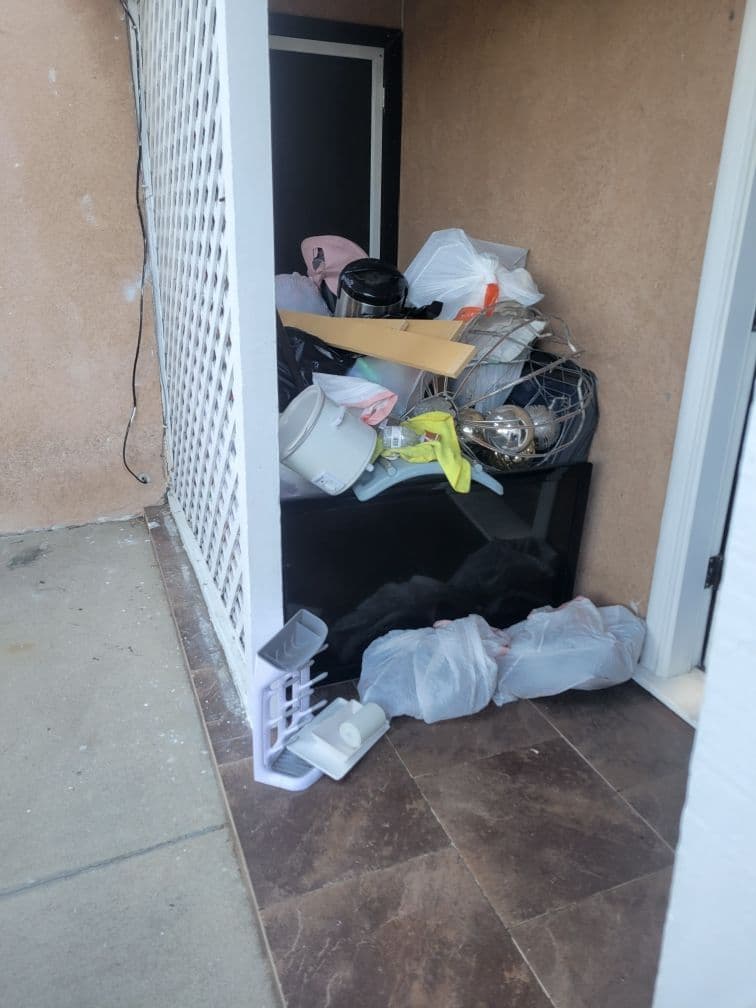 Transformative Junk Removal for a Clutter-Free Space image
