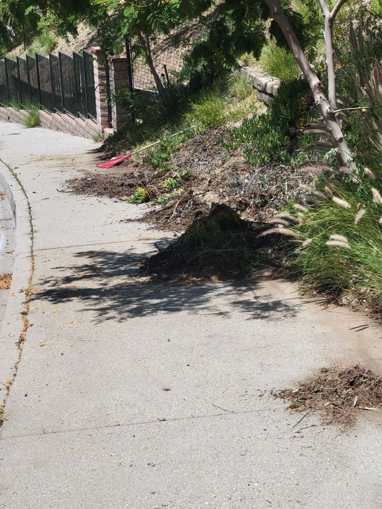 Sylmar Pathway Transformed Through Expert Green Waste Removal image