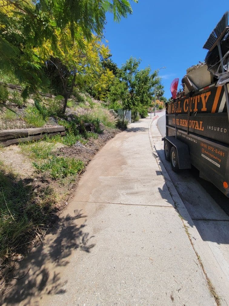 Gallery photos for Sylmar Pathway Transformed Through Expert Green Waste Removal: Image #1