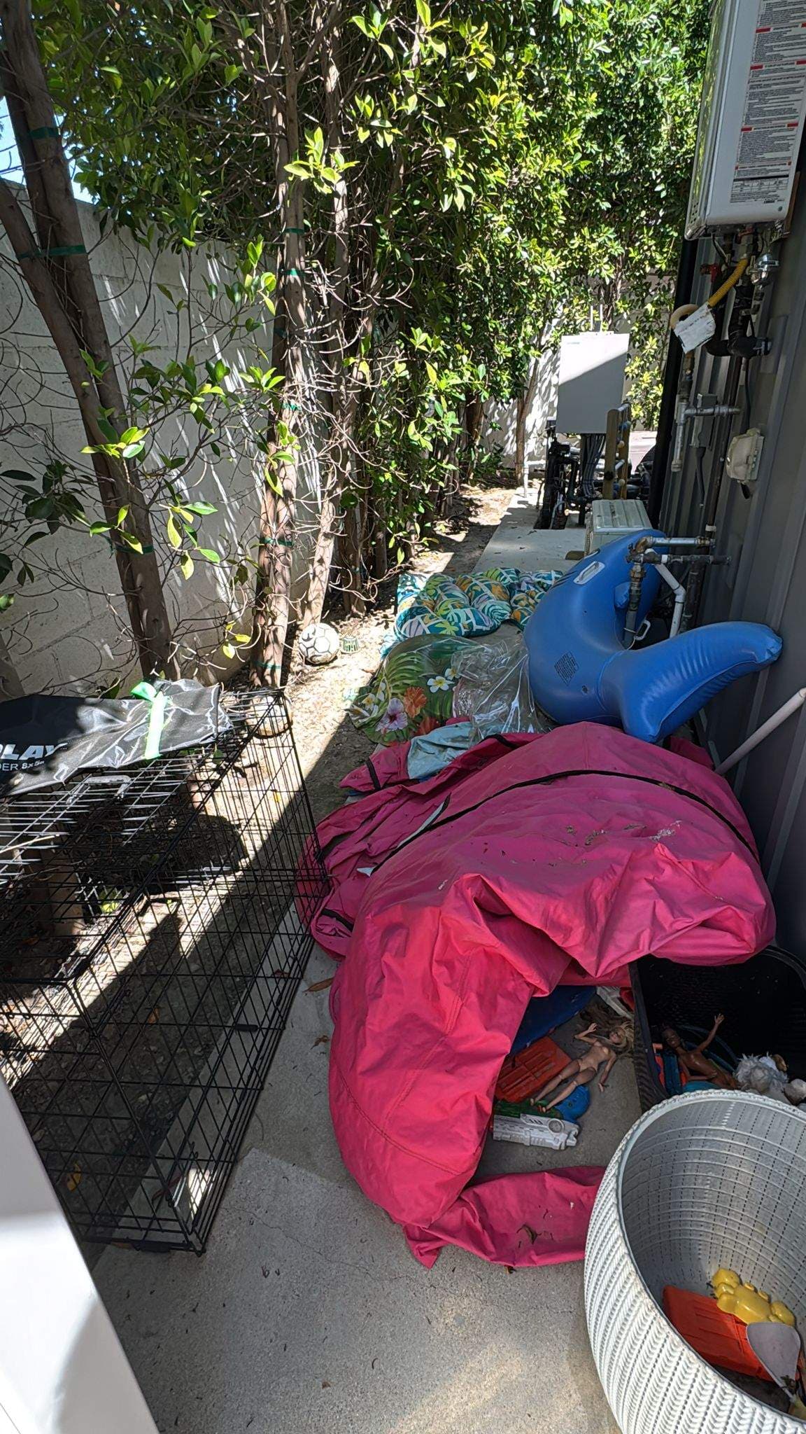 Gallery photos for Granada Hills Yard Cleanup Transformation: Image #1